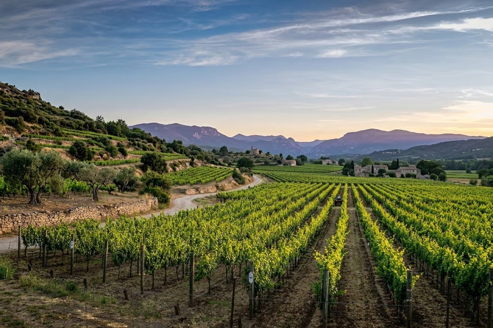 Domaine Les Clos Maurice