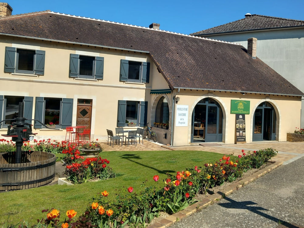 Domaine Masson-Blondelet 