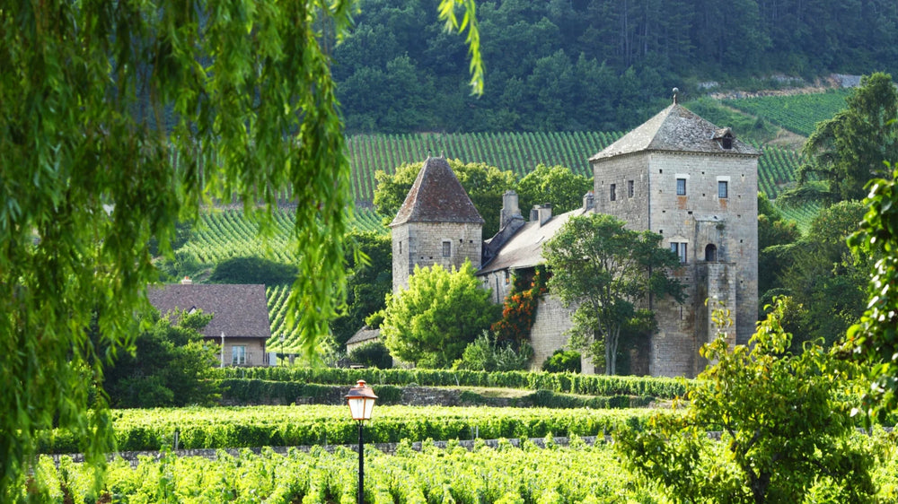 Domaine Pansiot