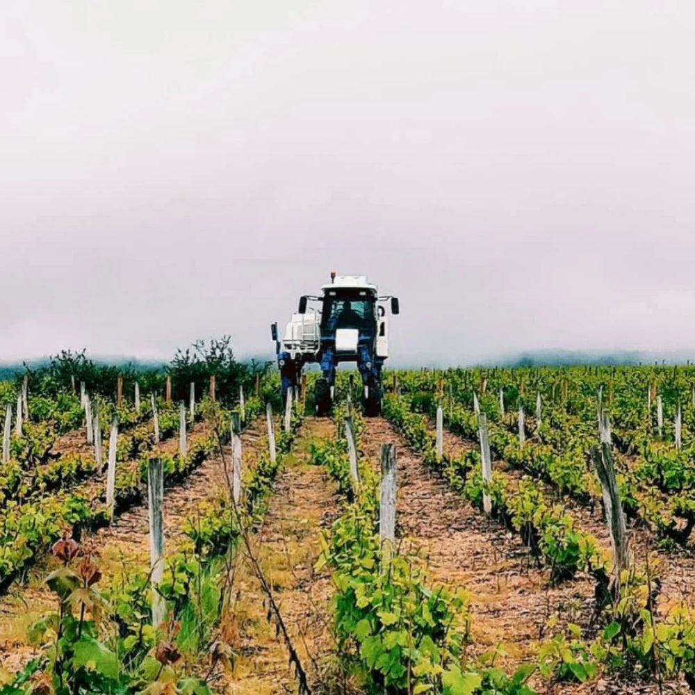 Domaine de Lathevalle