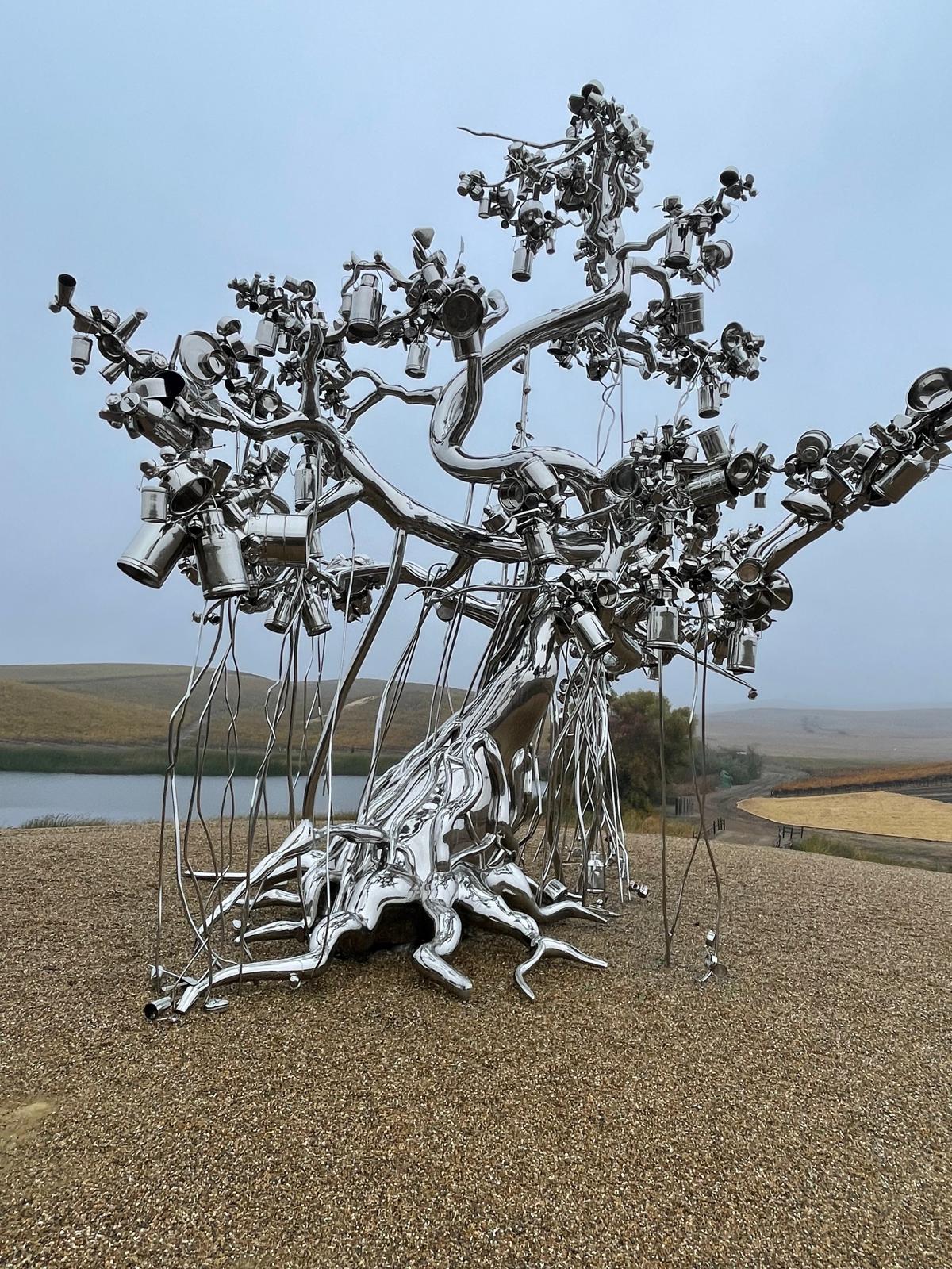 2021 Donum Home Ranch Pinot Noir Carneros