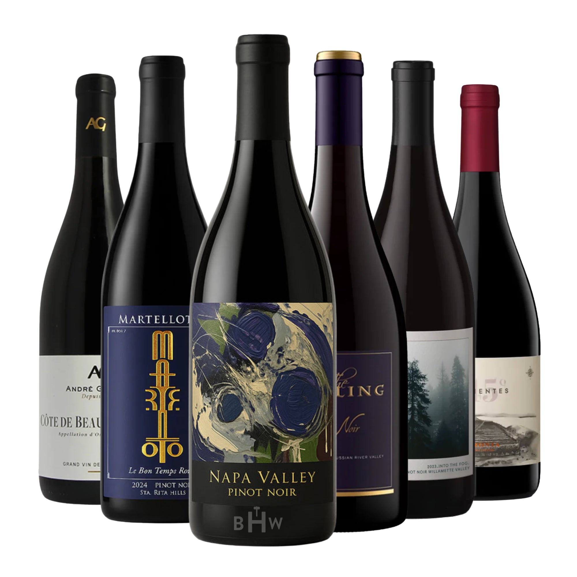 Explore Pinot Noir Around the World 6pk Sampler 6x750ml