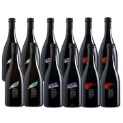 Image of Feral Non-Alcoholic Mixed 12-Pack 12x750ml