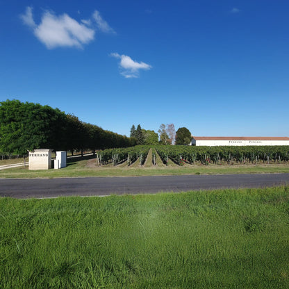 Château Haut-Ferrand 6pk – Our #1 Value Pomerol EVER! (6x750ml)