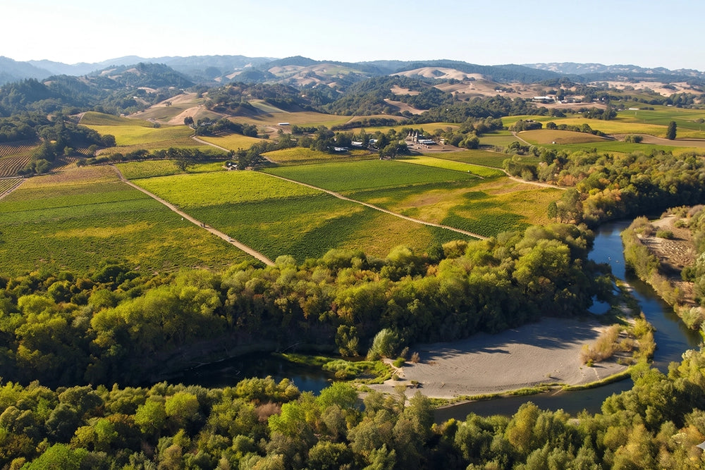 Gary Farrell Russian River Selection