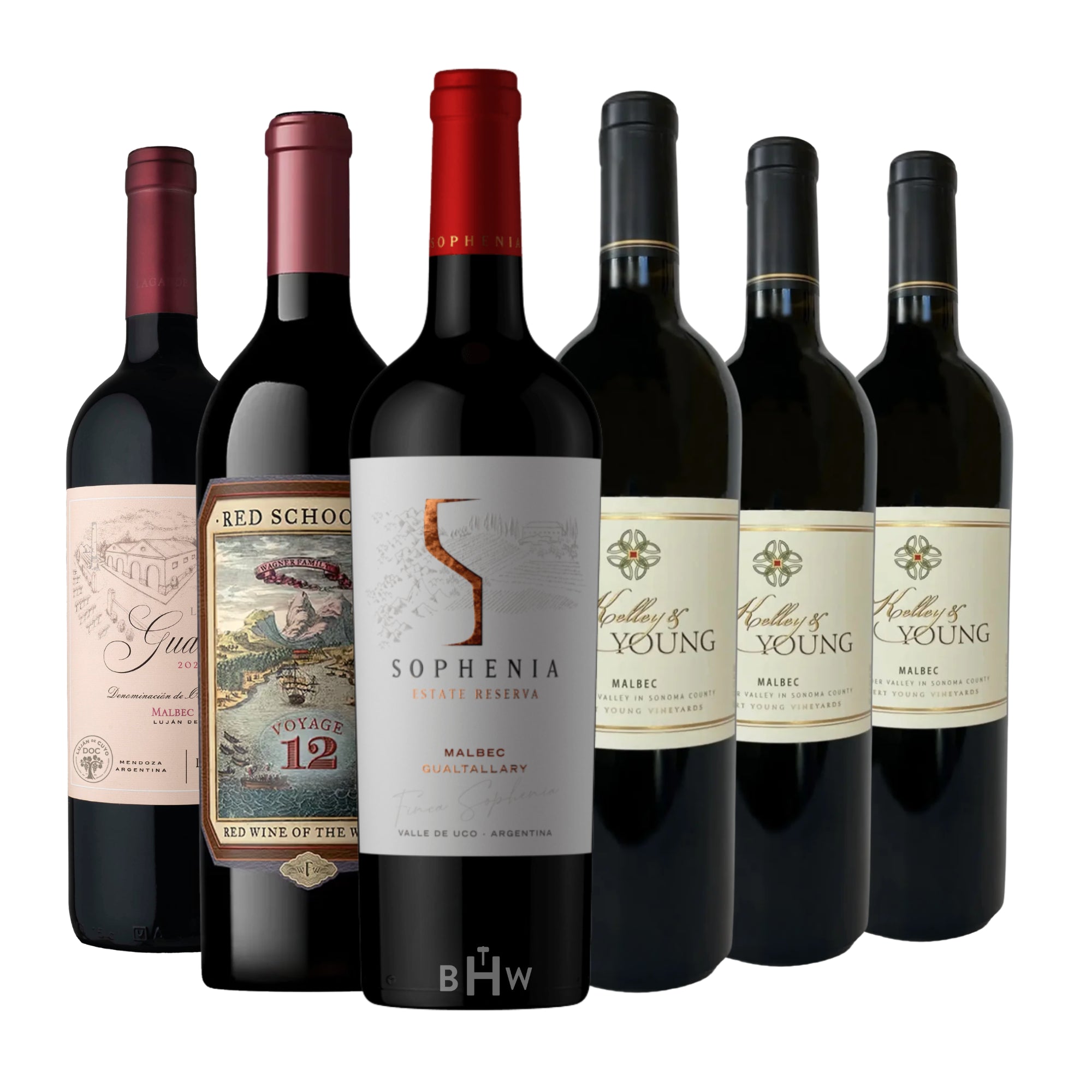 A professional lineup of six premium Malbec red wine bottles against a clean white background. The collection features a variety of labels, including "Sophenia Estate Reserva" from Gualtallary, "Red Schooner Voyage 12" by the Wagner Family, and multiple bottles of "Kelley & Young" Malbec. The assortment highlights a range of styles from renowned regions like Mendoza, Argentina, and Sonoma County. Curated by Big Hammer Wines.