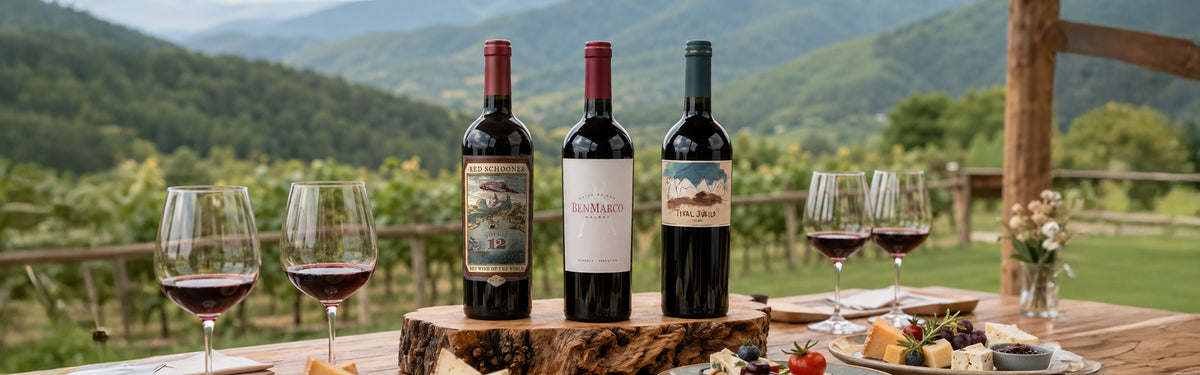 Three Malbec wine bottles with wine glasses and a cheese platter on an outdoor table overlooking vineyards and mountains.