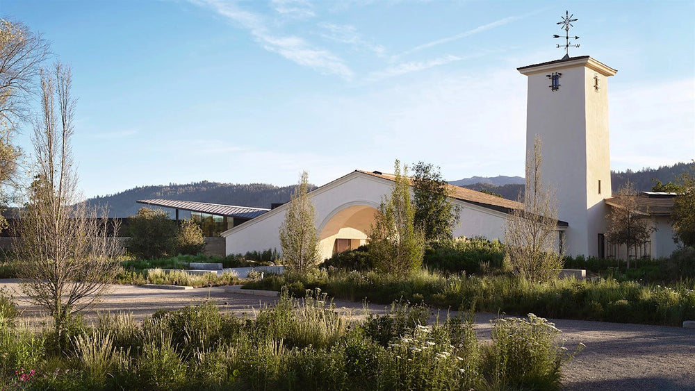 Michale Mondavi