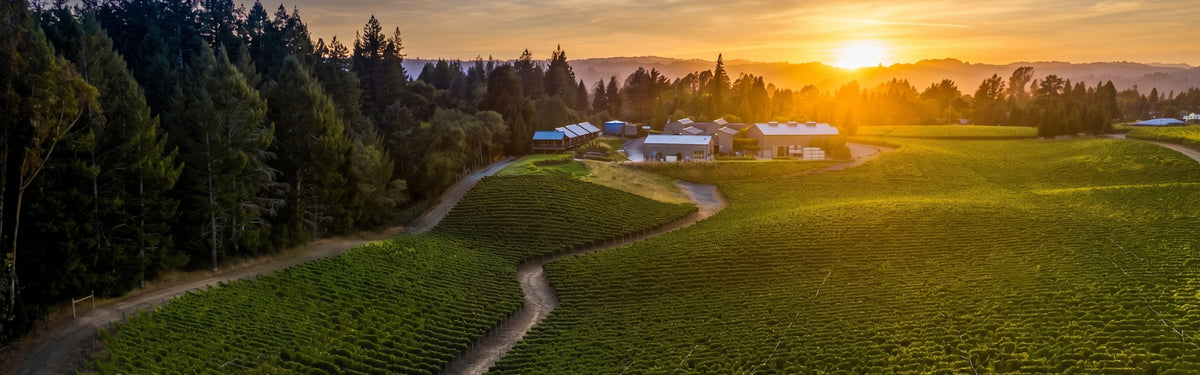 Aerial view of the Paul Hobbs Winery estate and vineyards illuminated by a golden sunset.
