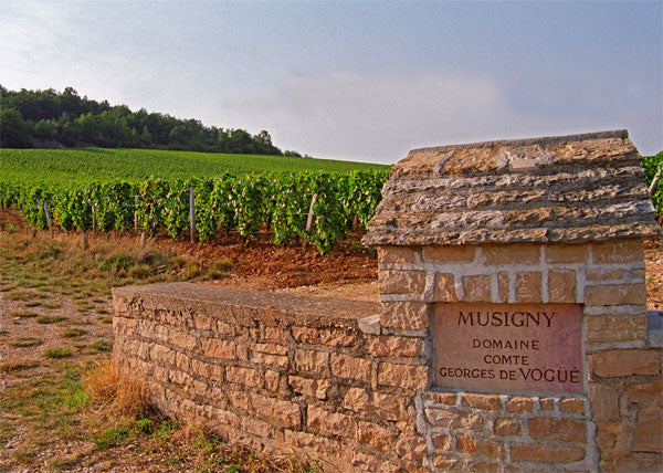 2023 Comte Georges de Vogue Musigny Grand Cru 'Cuvee Vieilles