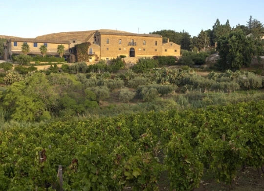 Tenuta Regaleali