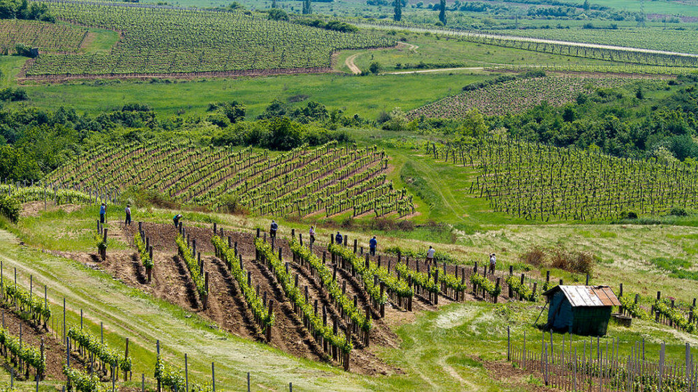 Tokaj Oremus