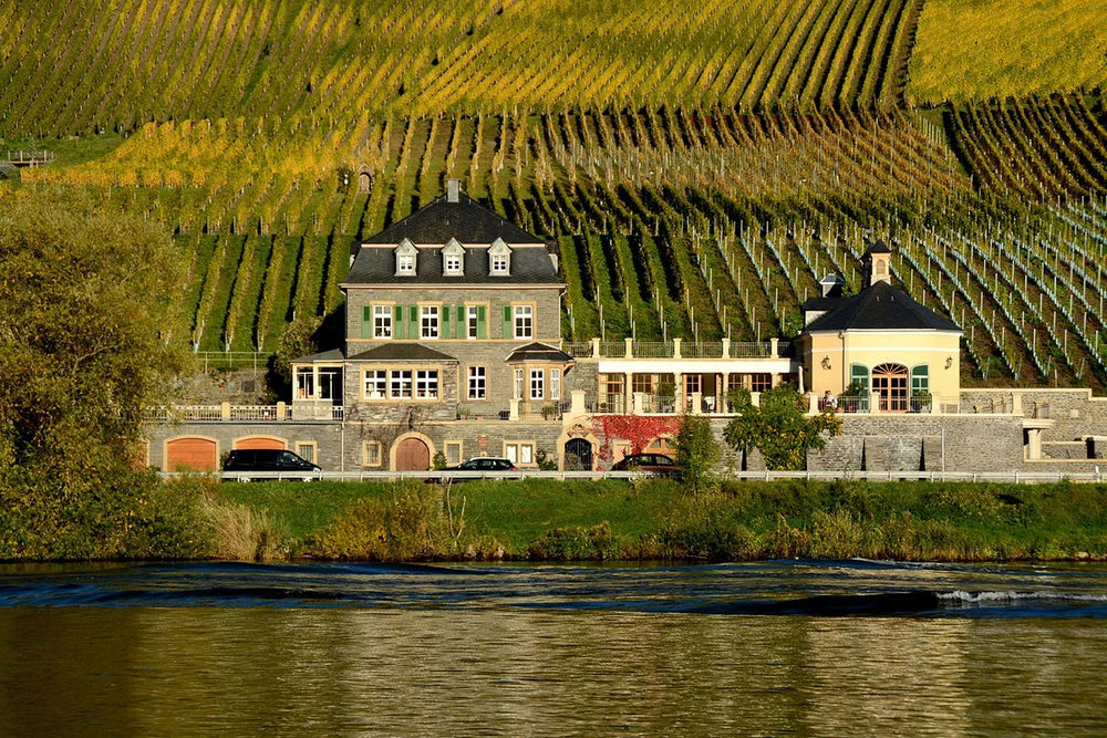 Weingut Dr. Loosen