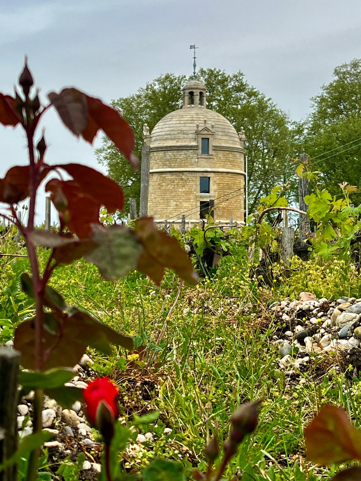 2015 Chateau Latour Les Forts de Latour Pauillac 375ml