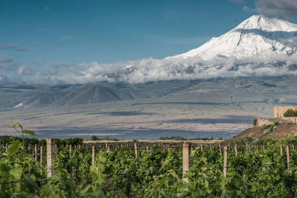 Armenia wine