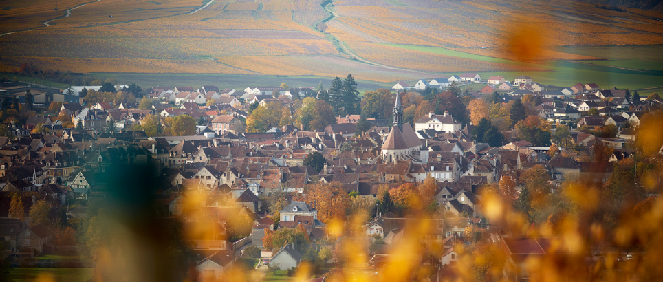 Townscape with autumn foliage in the foreground