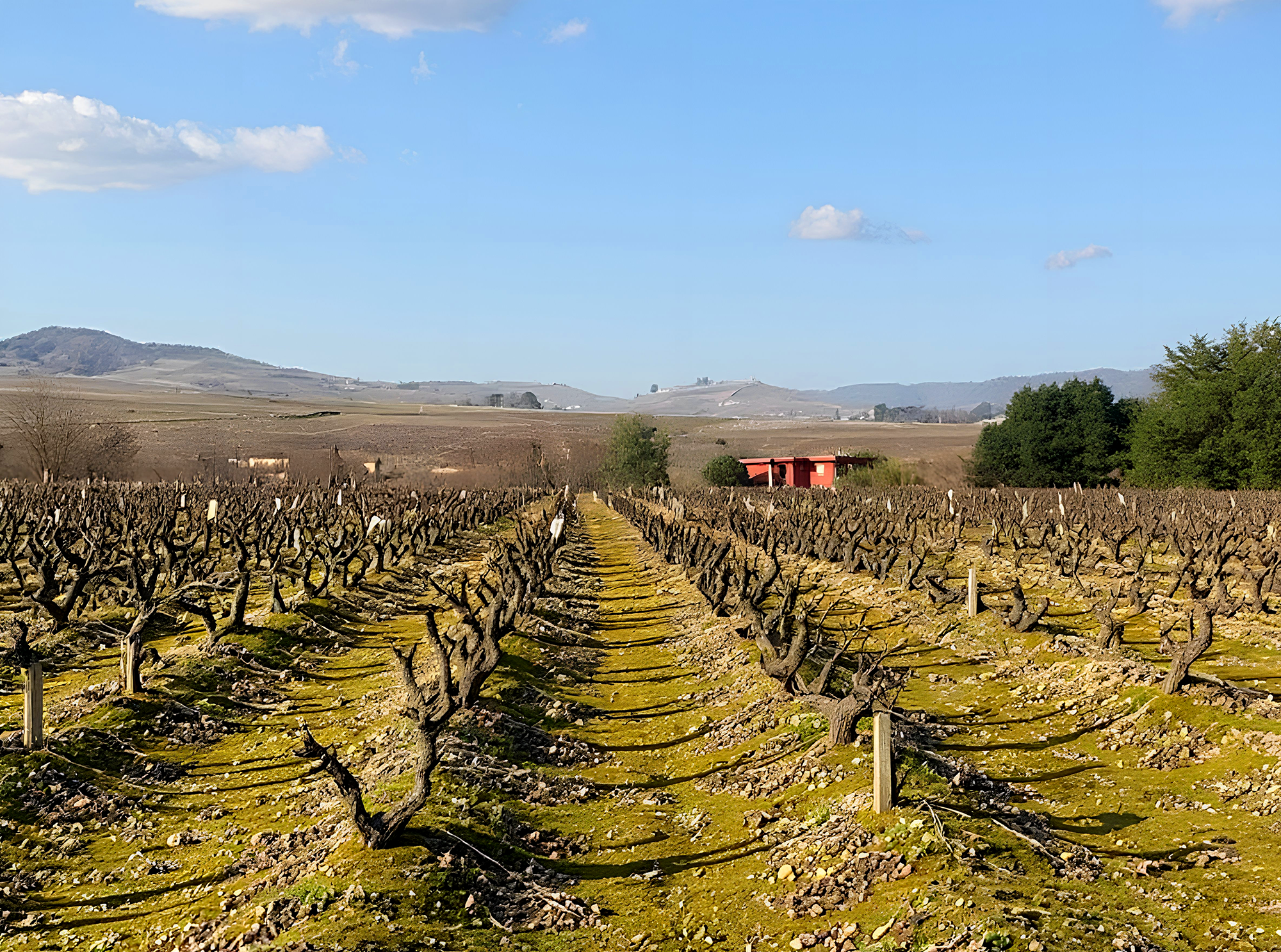 2022 Alexandre Burgaud Beaujolais-Lantignie Villages