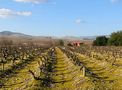 2022 Alexandre Burgaud Beaujolais-Lantignie Villages