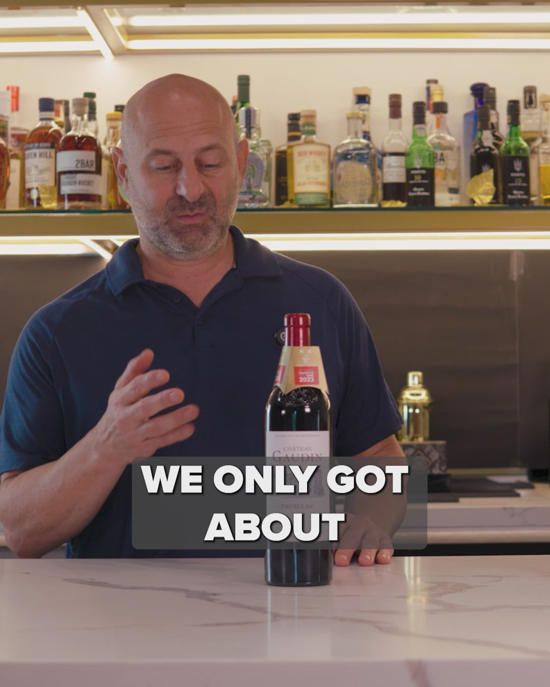 2019 Chateau Gaudin Pauillac