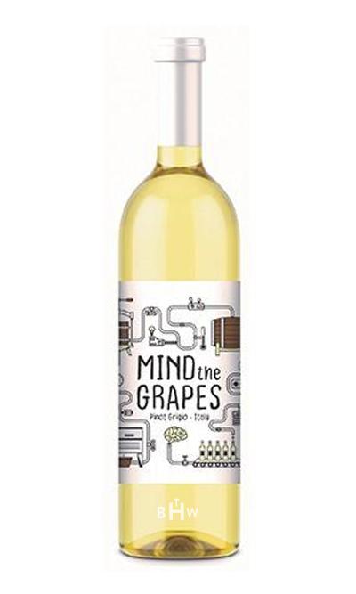 Zeman White 2020 Mind the Grapes Pinot Grigio Italy 375ml