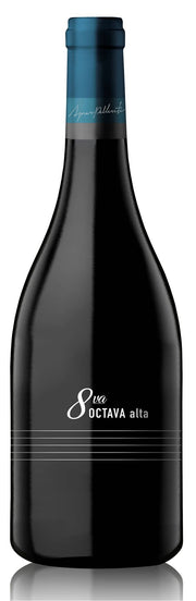 Image of 2015 Abremundos Octava Alta Mendoza Red Blend